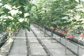 無土栽培專用白色防草布地布