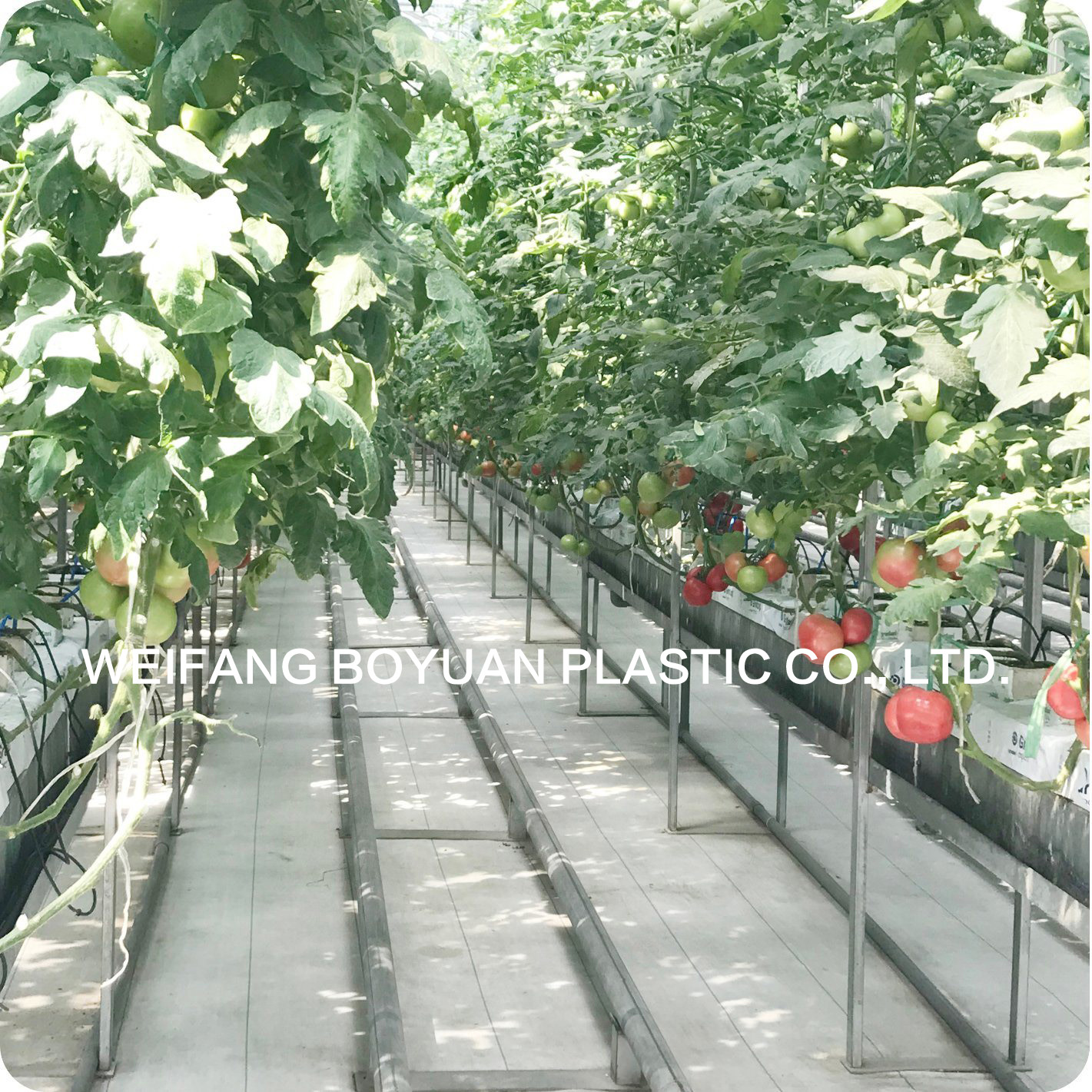 無土栽培園藝地布防草布.jpg